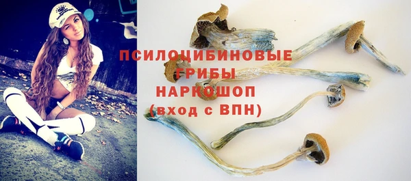 дурь Абинск